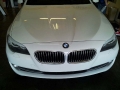 Millennium Tints