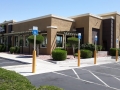 olive-garden-2