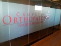 dr-crovettis-vynal-white-frost-job-jpeg-2